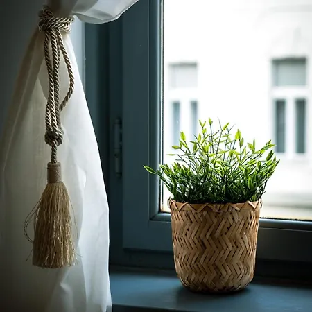 Apartamento Cosy Major Retreat *