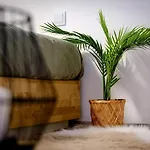 아파트 Cosy Major Retreat 부다페스트